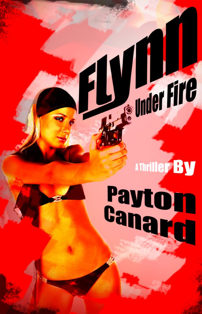 Flynn Under Fire: A Thriller