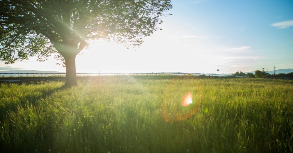 Paleo Family: Raising Natural Kids in an Unnatural World